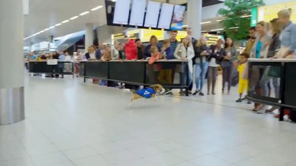 Стюардесса обнаружила чей то потерянный телефон! Посмотрите как она нашла хозяин