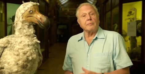 Attenborough'un Gemisi