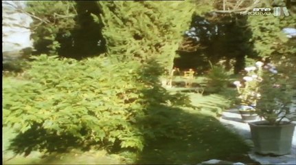 As Ordens do Templo, do Hospital e de Calatrava, 17 Jul 1994