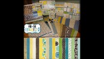 Papercraft Scrapbooking - February 2013- Episode 51