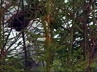 Искусство снайпера 19. Выбор позиции Характерные ошибки