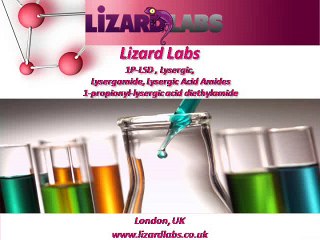 Buy Lysergic Products Online - Lizard Labs