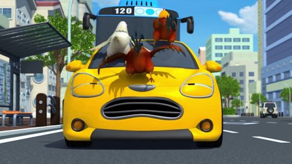 [Tayo Special Compilation] #05 Tayos Best Shows (60 mins)