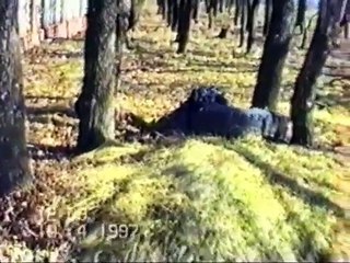 Искусство снайпера. Укрытие типа Колесо