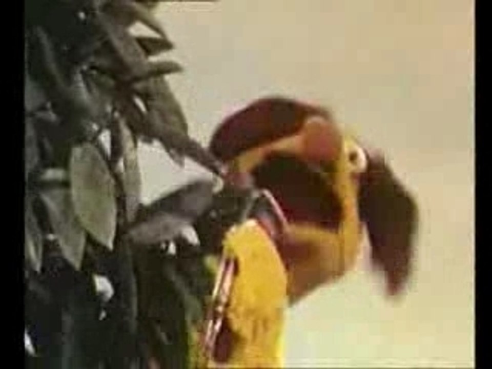 Leonard - Qui veut gouter a la patee du chat