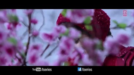 SANAM RE Title Song (VIDEO) - Pulkit Samrat, Yami Gautam, Divya Khosla Kumar - T-Series