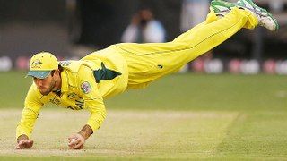 Best Catches in Cricket History - Top 10 Catches
