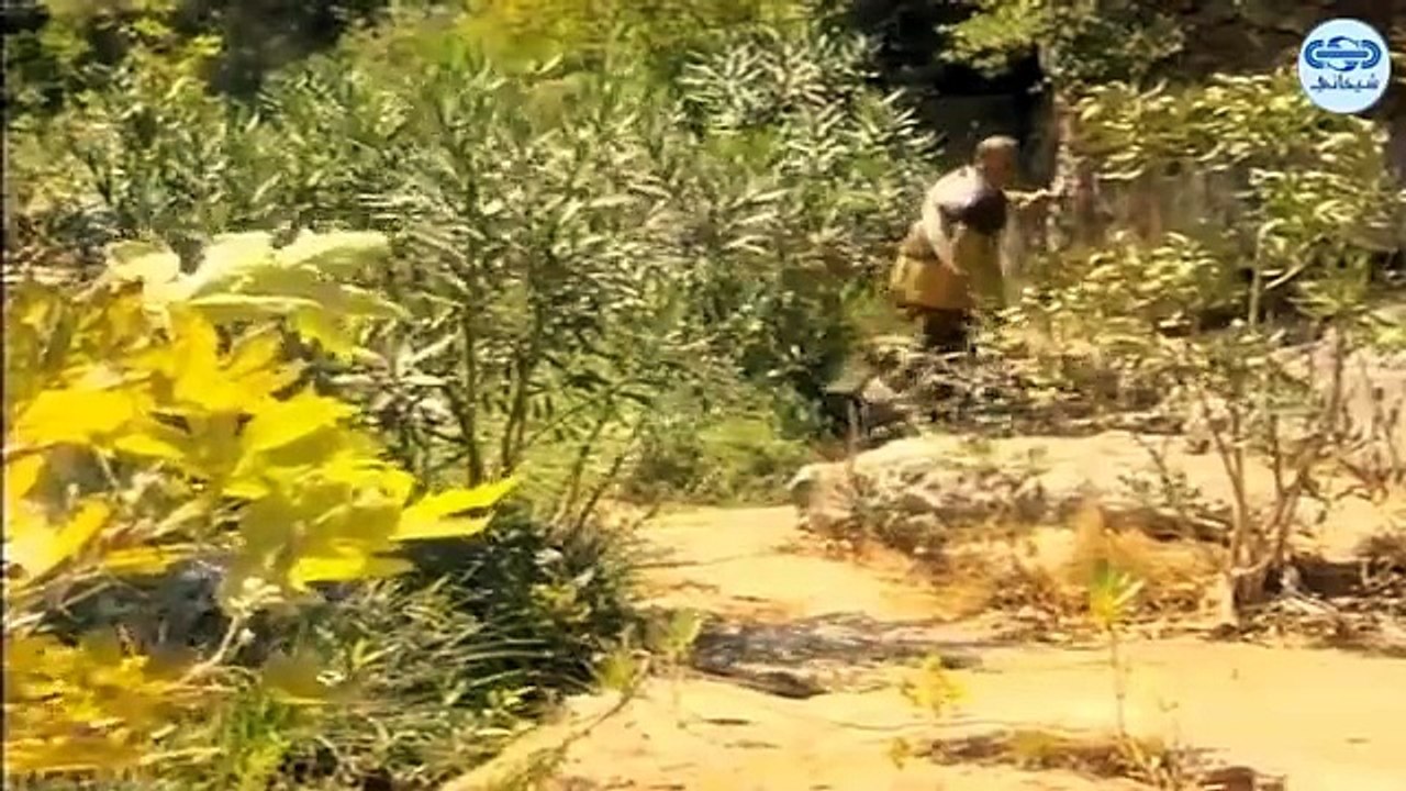 مسلسل كان ياما كان الجزء 3 الثالث - زورداك 3 - Kan Yama Kan 3 HD