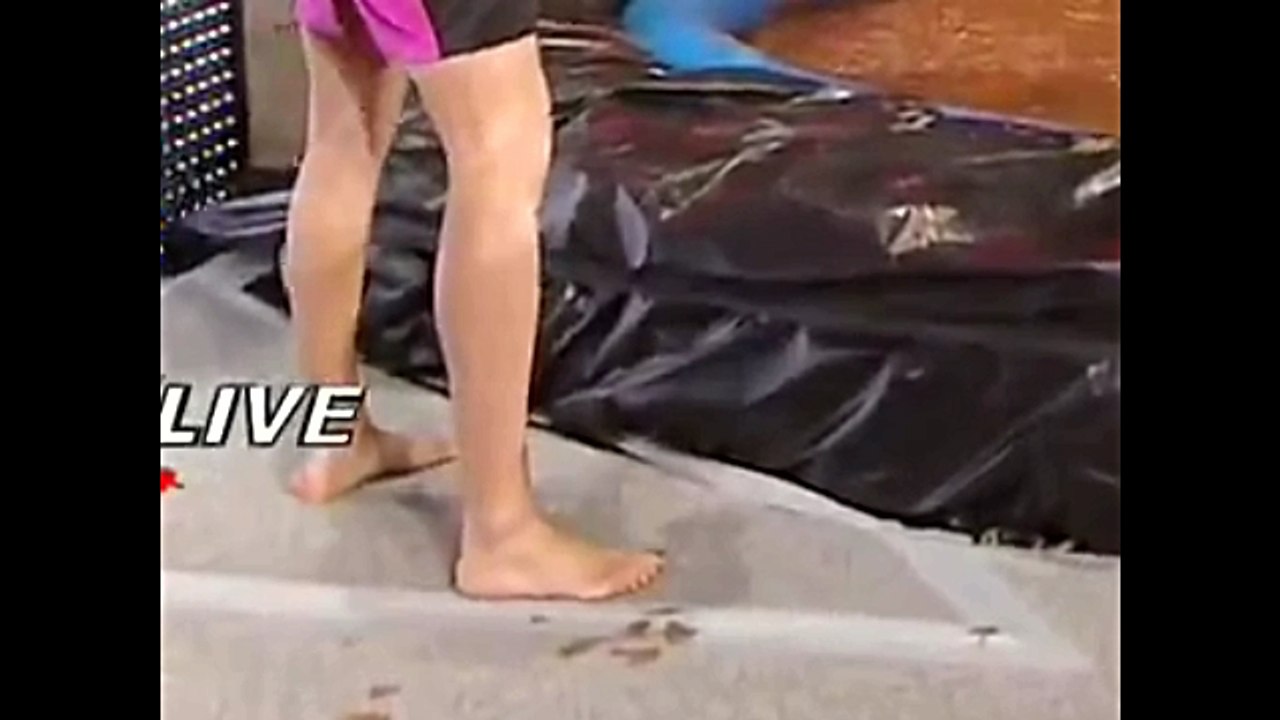 Wwe Stephanie's barefoot