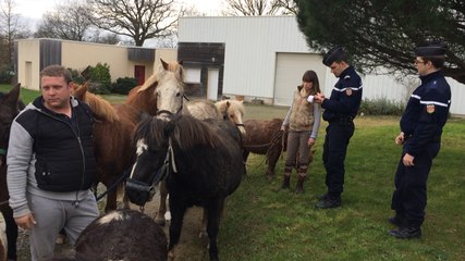 Acte de malveillance au centre équestre