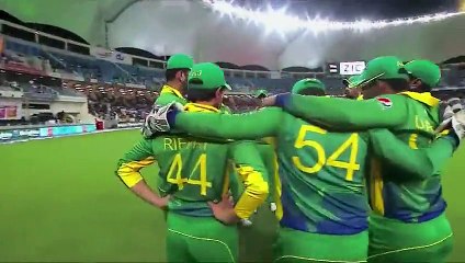 Pakistan vs England T20 Blunders Compilation