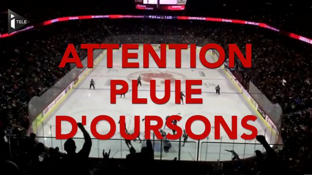 Une pluie d'oursons s'abat sur des hockeyeurs canadiens, pour la bonne cause