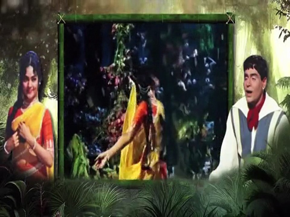 pkg rafi singer by shoaib hashmi