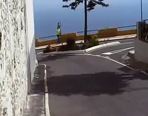 ラリー　ナイスなドライバー