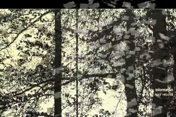 Toni Vescoli  "Happy Family"  1971 Swiss Acid Folk  Psych