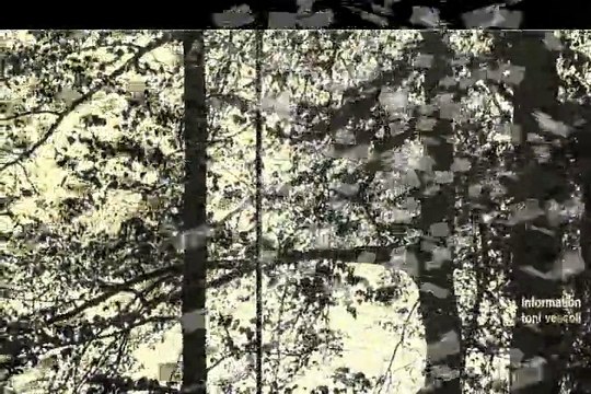 Toni Vescoli Happy Family 1971 Swiss Acid Folk Psych