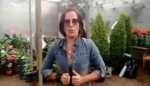 Gloria Pires manda beijo para o 'Blog Memorial Gloria Pires'