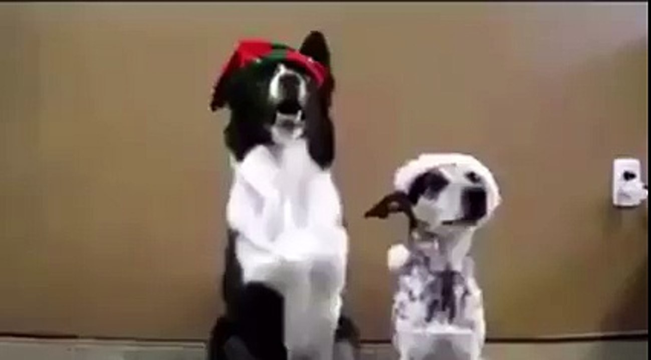 Cute Dogs Posing for Christmas Selfie