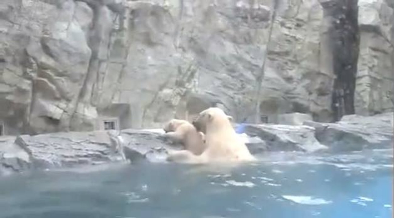 Anne olmak işte böyle birşey..