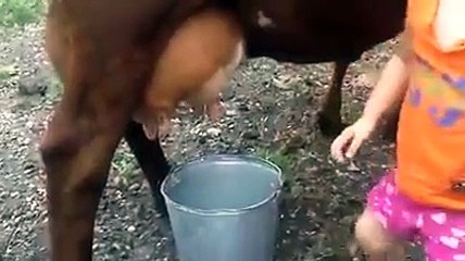 little girl trying...