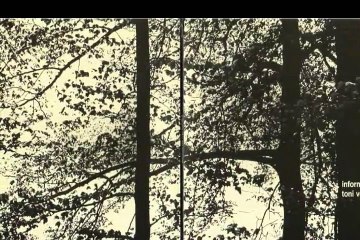 Toni Vescoli "Information" 1971 Swiss Acid Folk  Psych