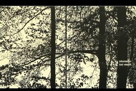 Toni Vescoli Beautiful Morning 1971 Swiss Acid Folk Psych