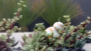 BB-8 now