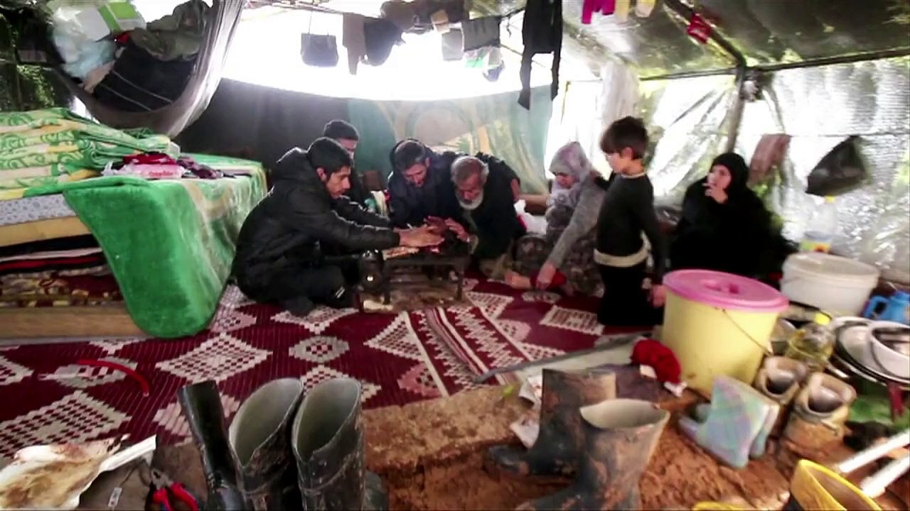 Die Bilder des Jahres 2015