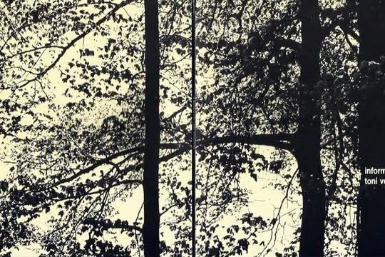 Toni Vescoli There's A Bird 1971 Swiss Acid Folk Psych