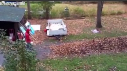 watch this incredible way to get rid of those troublesome autumn leaves