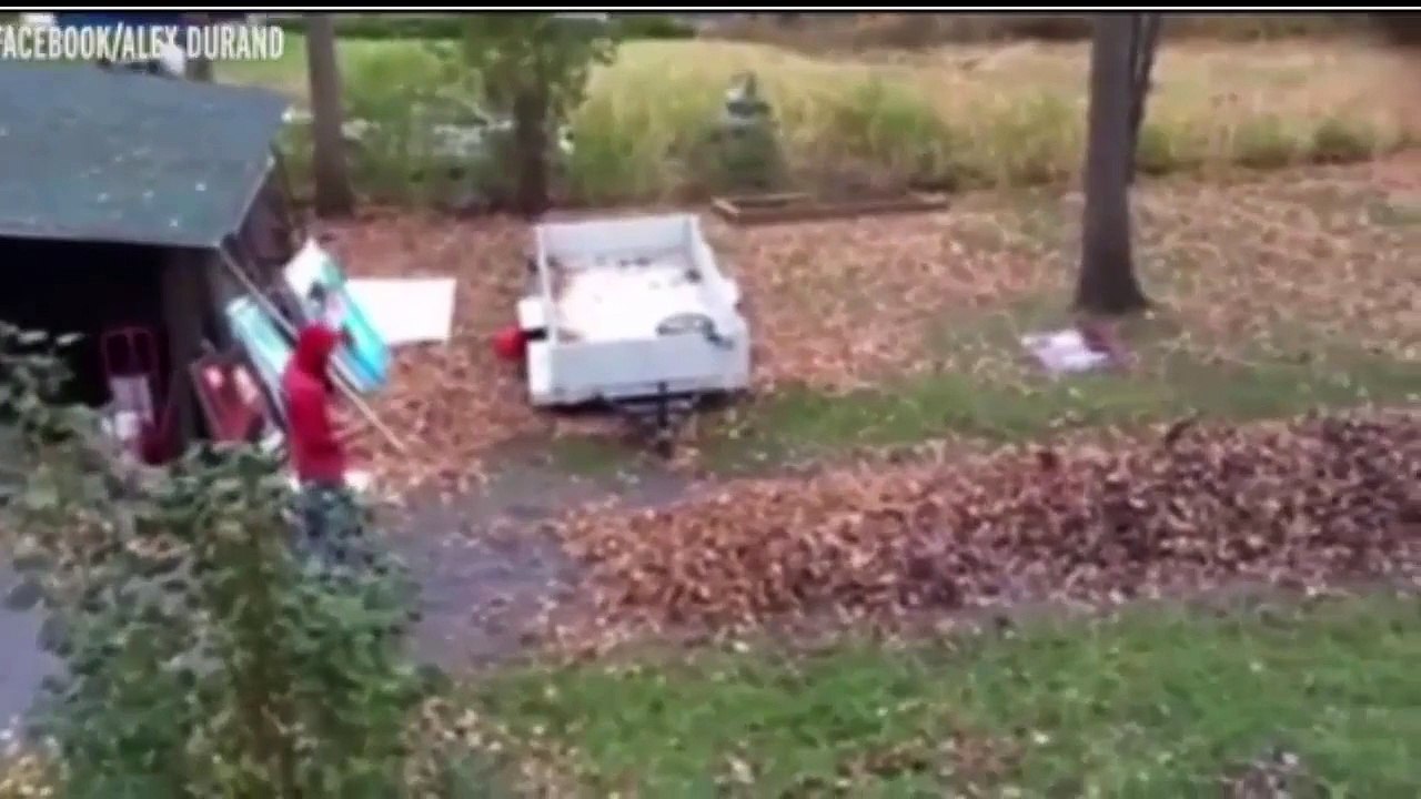 watch this incredible way to get rid of those troublesome autumn leaves