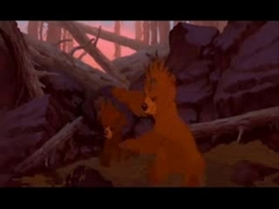 Frere des ours : je m'en vais