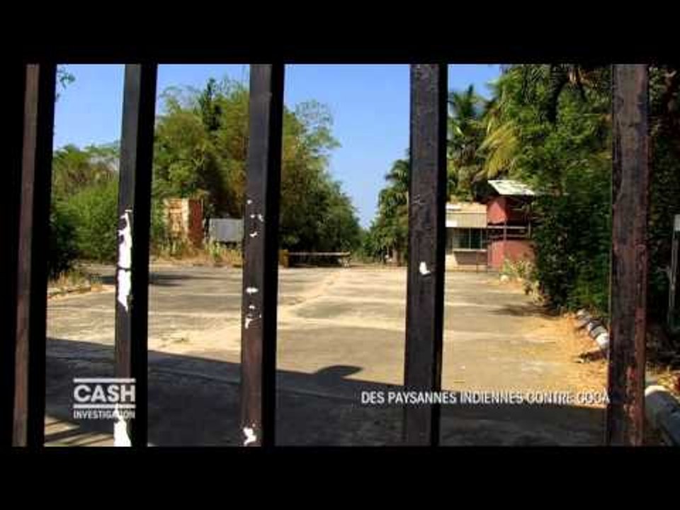 Cash investigation - Des paysannes indiennes contre coca