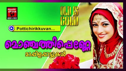 പൊട്ടിച്ചിരിക്കുവാൻ... Malayalam Oppana Songs | Pottichirikkuvan | Old Mappila Pattukal