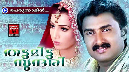 പെരുന്നാളിൻ... Mappila Album Songs New 2014 | Perunnalin | Mappila Pattukal Kannur Sherif