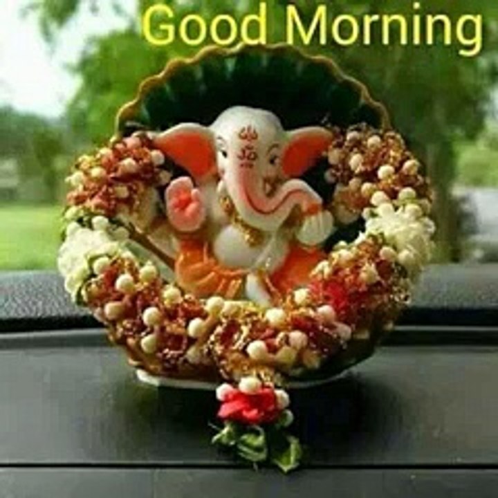 Whatsapp morning wish! funny videos 2016