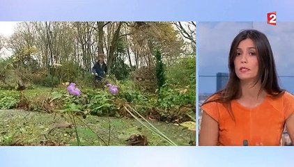 Météo : mais pourquoi fait-il si chaud au mois de décembre ?