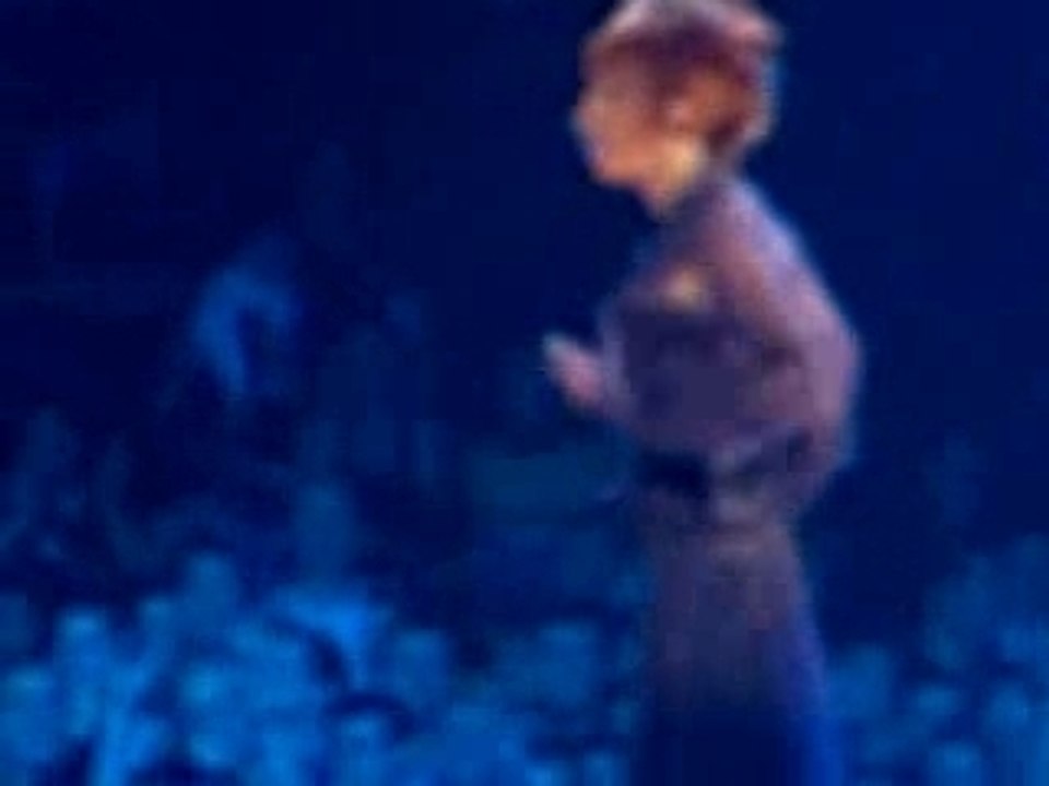 13-01-06 Avant que l'ombre...à Bercy (Extrait Desenchantee)