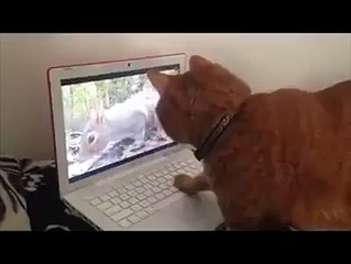 Oh...Where'd It GO?
