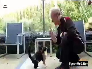 Free_Download_WhatsApp_Video_