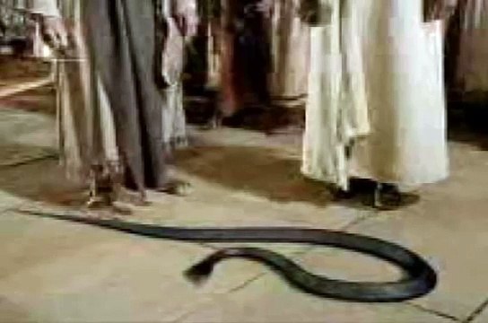 Hazrat musa alaihis salam aur unke dande ko saanp me badal diya By Maulana Tariq Jameel best bayan