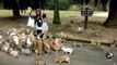 This Japanese island is overrun with hundreds of rabbits