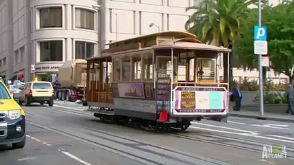 Cat and Dog NOT Living in Harmony _ My Cat From Hell