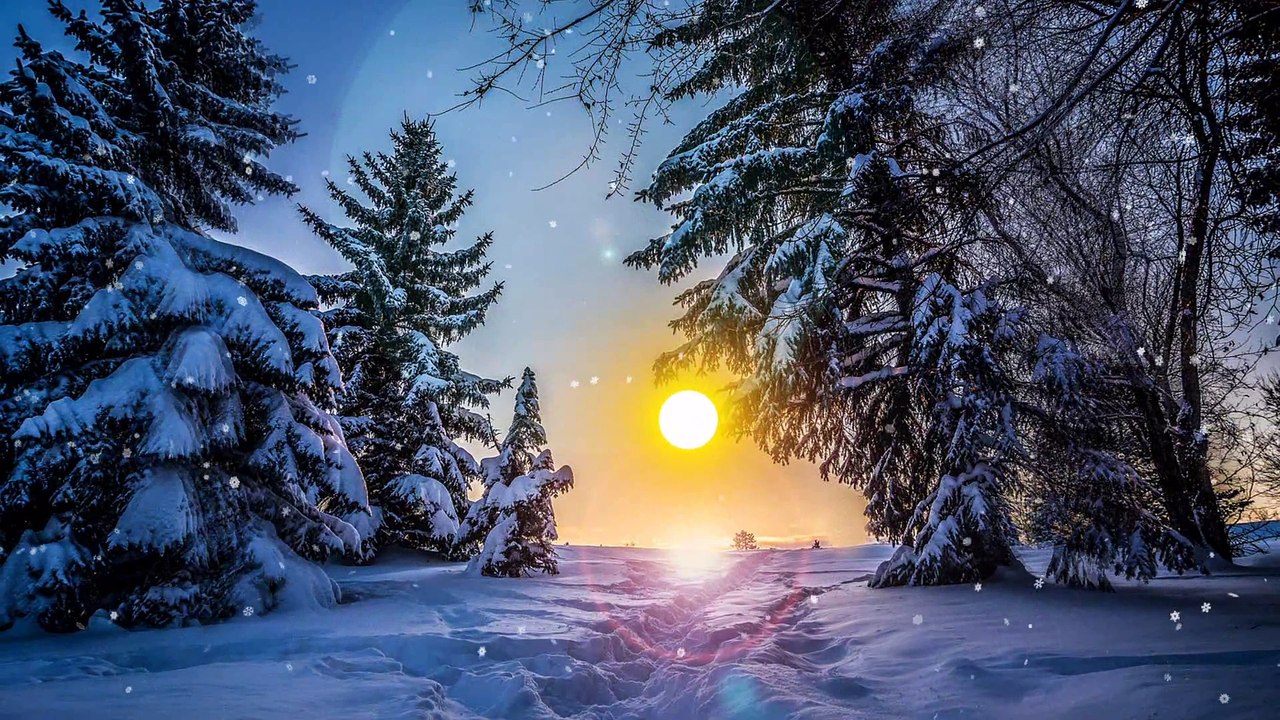 ЕЁ ВЕЛИЧЕСТВО-ЗИМА