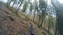 Drückjagd 16 11 2015