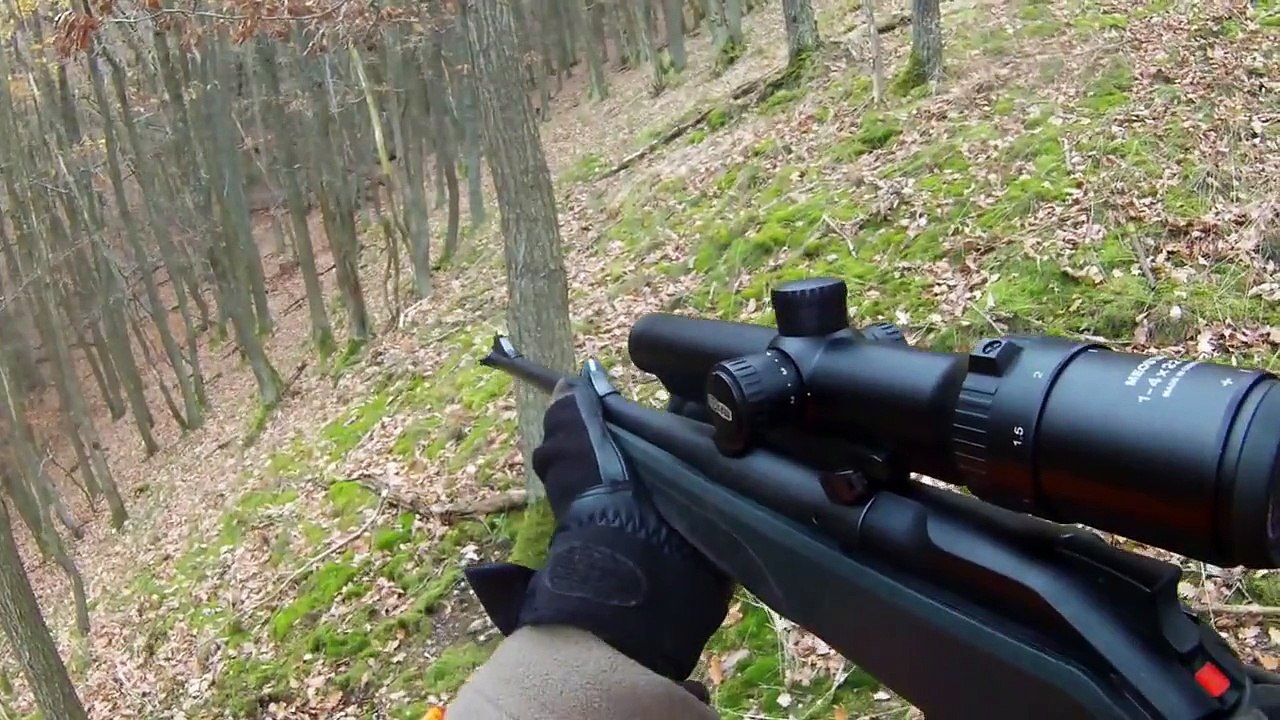 Drückjagd 2013