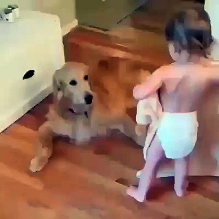 Baby cares about pet