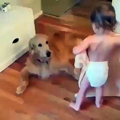 Baby cares about pet