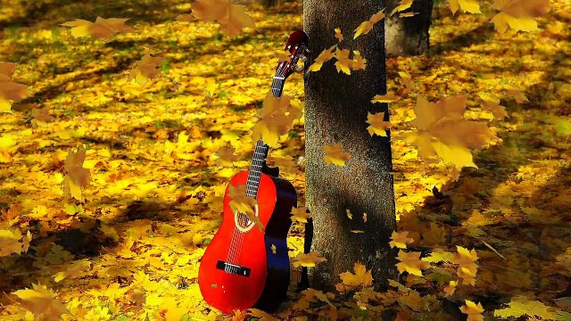 Мы думаем что в нас болит душа...