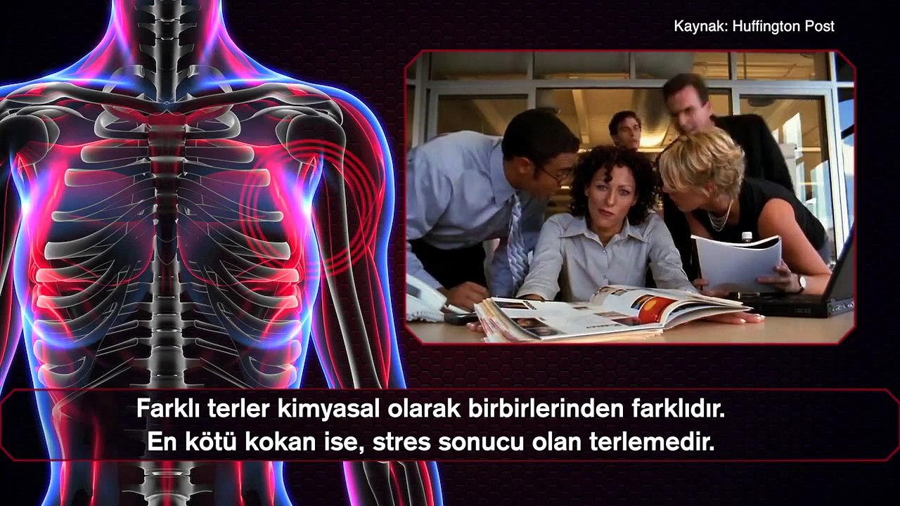 Vucudumuzla İlgili Yanlış Bilinen 10 Gerçek